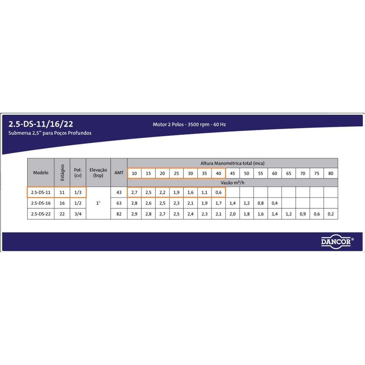 Bomba Submersa Dancor 2,5 Ds-11 1/3 Cv Monofásica 110v com Control Box