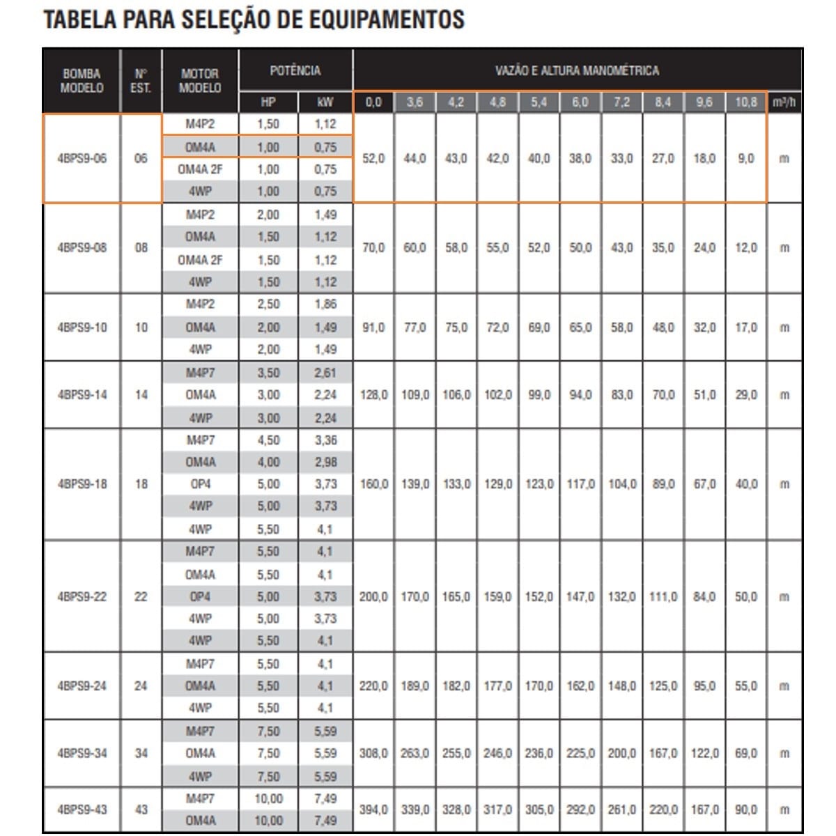 Bomba Submersa Ebara 4BPS9I-6 1 CV Trifásica 220V